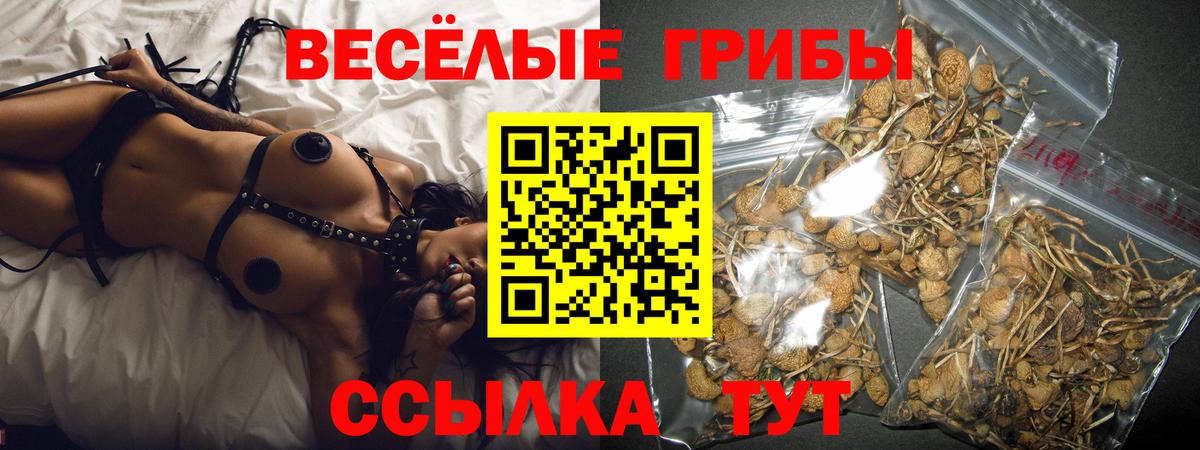 Муром  Псилоцибиновые грибы мицелий  наркотики  Вход с VPN 